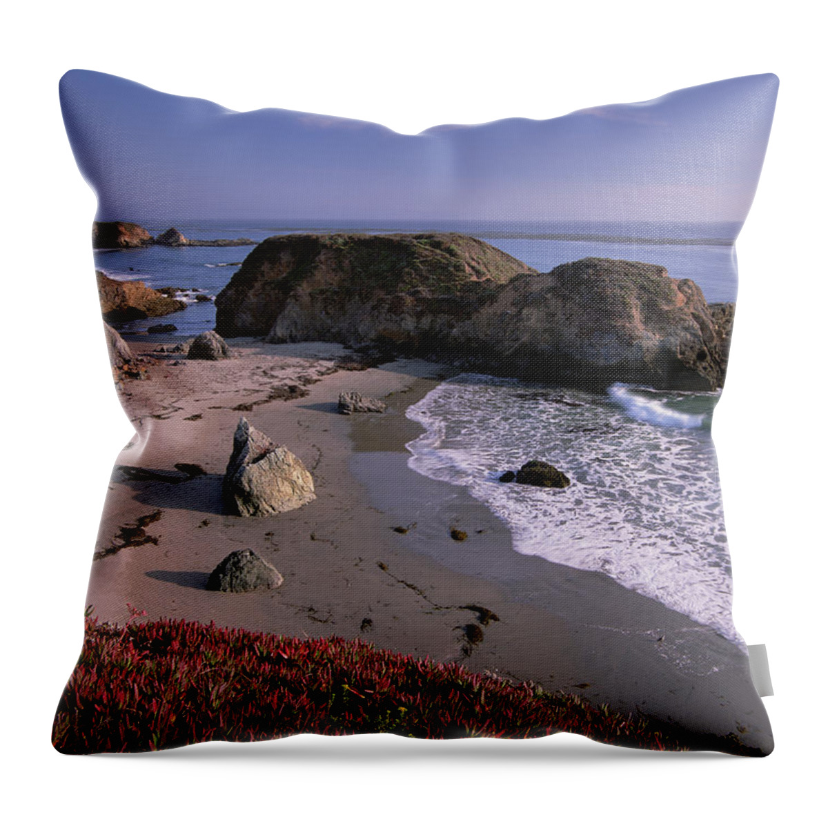00174586 Throw Pillow featuring the photograph Beach Near San Simeon Creek With Ice by Tim Fitzharris
