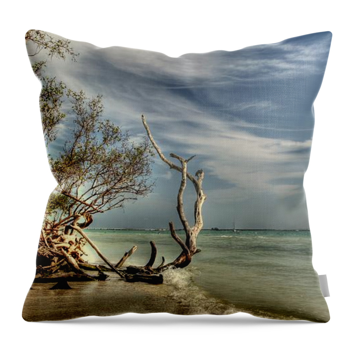 Paradise Throw Pillow featuring the photograph Beach Tree by Sean Allen