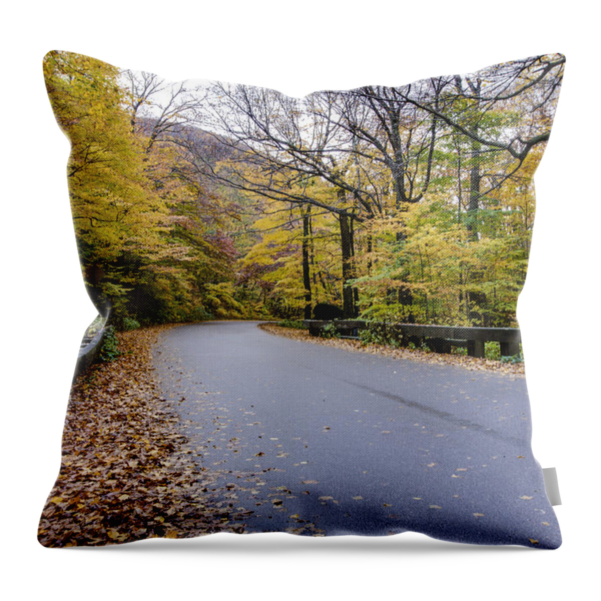 Vermont Throw Pillow featuring the photograph Beautiful Vermont Scenery 13 by Paul Cannon