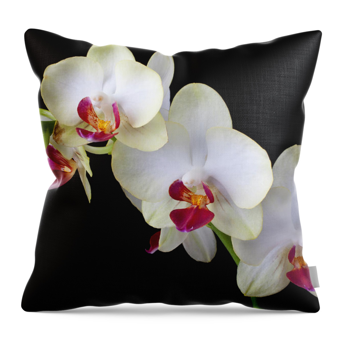 Beautiful Throw Pillow featuring the photograph Beautiful White Orchids by Garry Gay