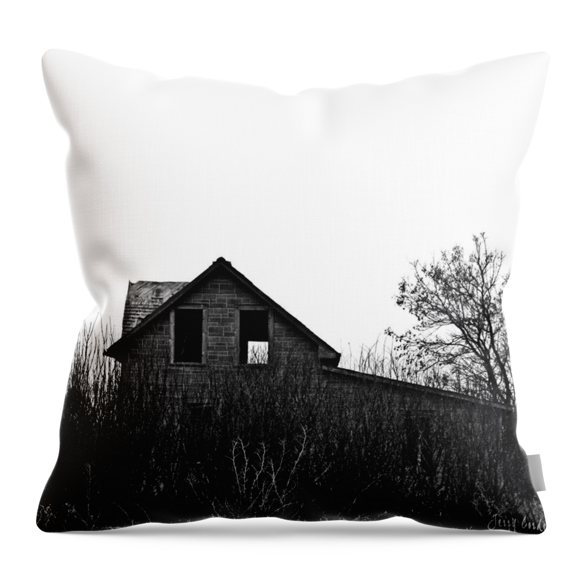 Sky Throw Pillow featuring the photograph Bee House by J C