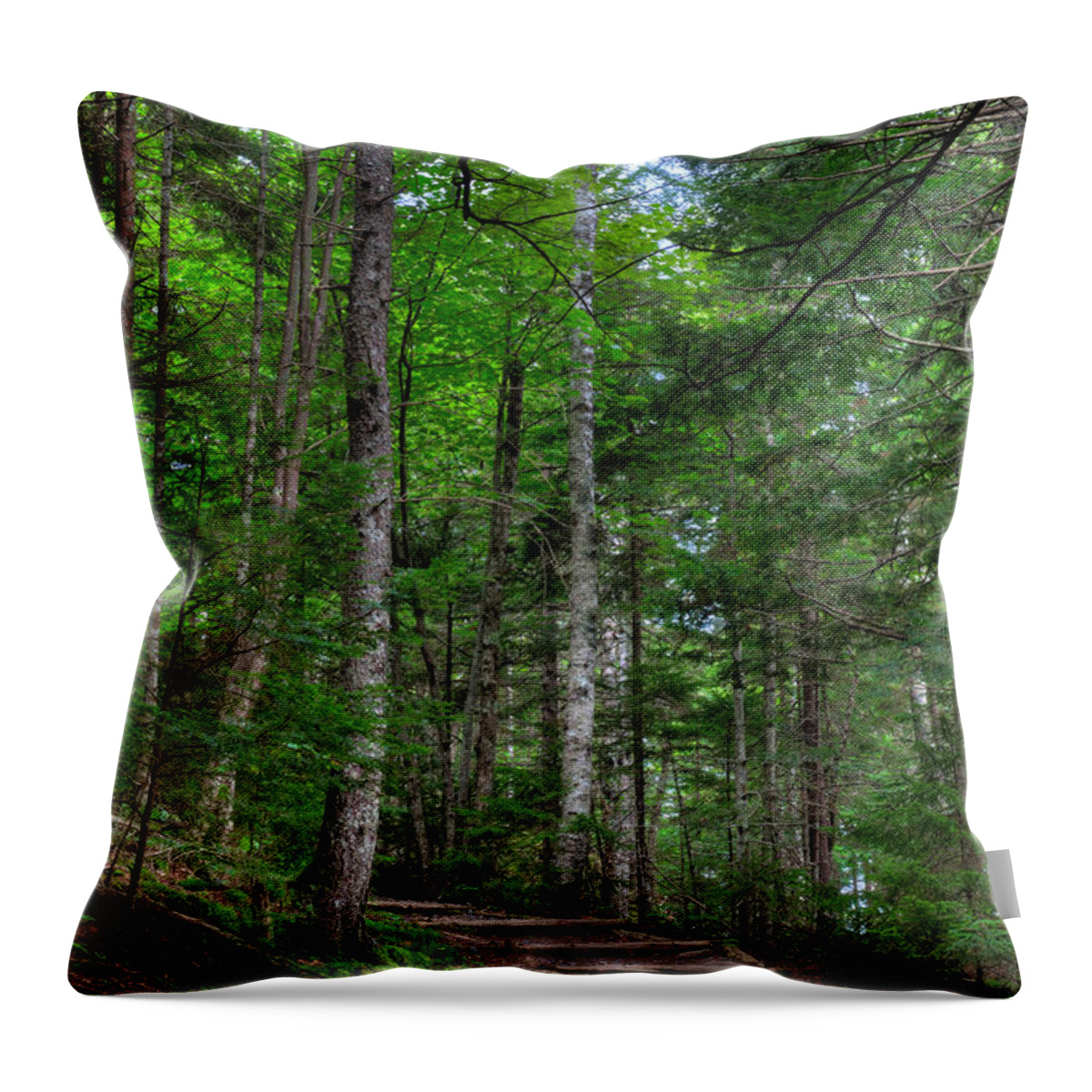Acadia Throw Pillow featuring the photograph Beech Mountain Trail Acadia by Steve Gadomski