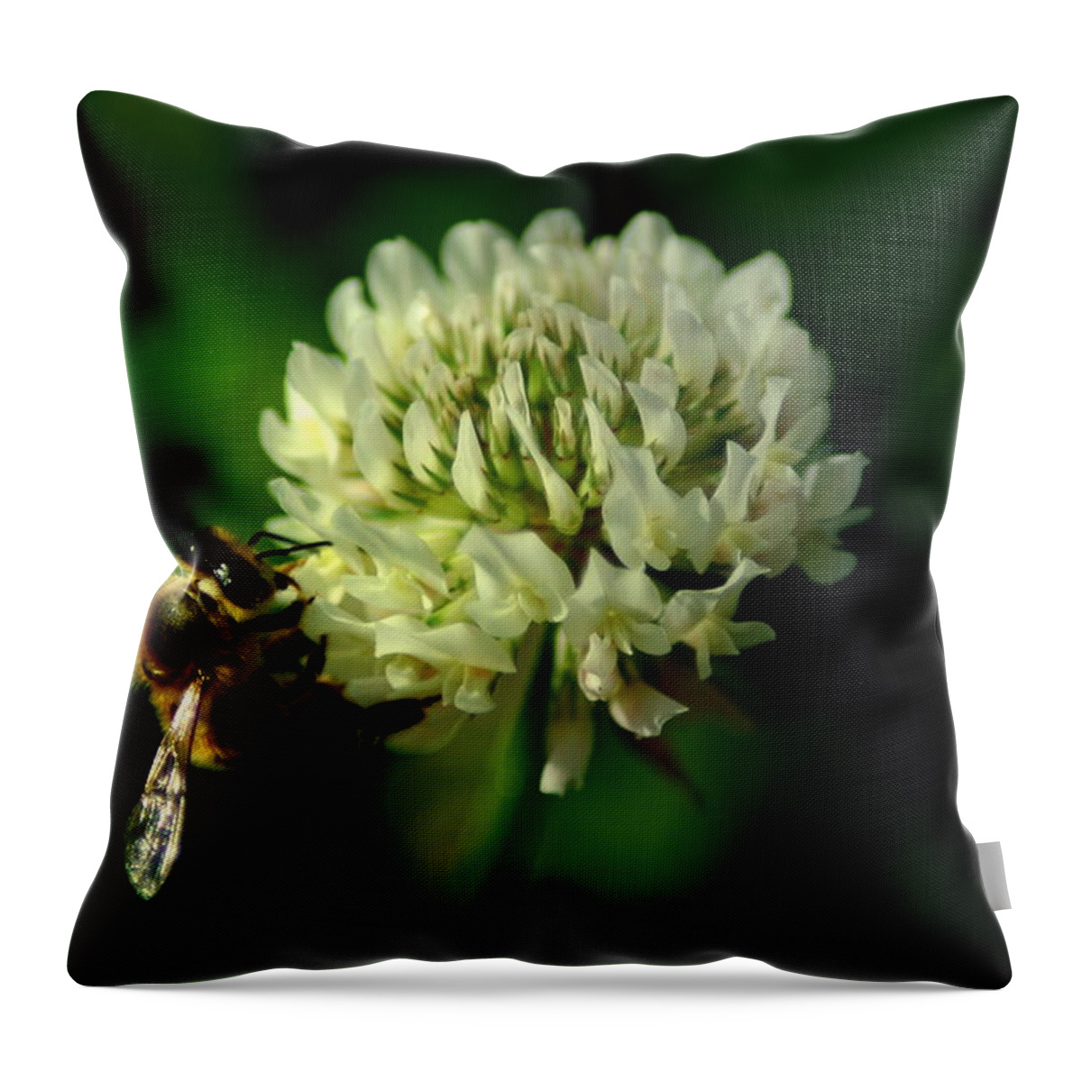 Bee Throw Pillow featuring the photograph BeeFlower2 by David Weeks