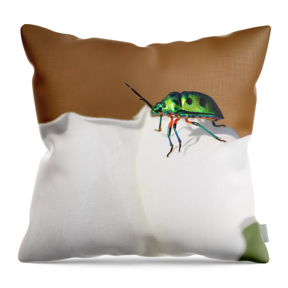 Jewel Bug Throw Pillow featuring the photograph Bejewelled by SAURAVphoto Online Store