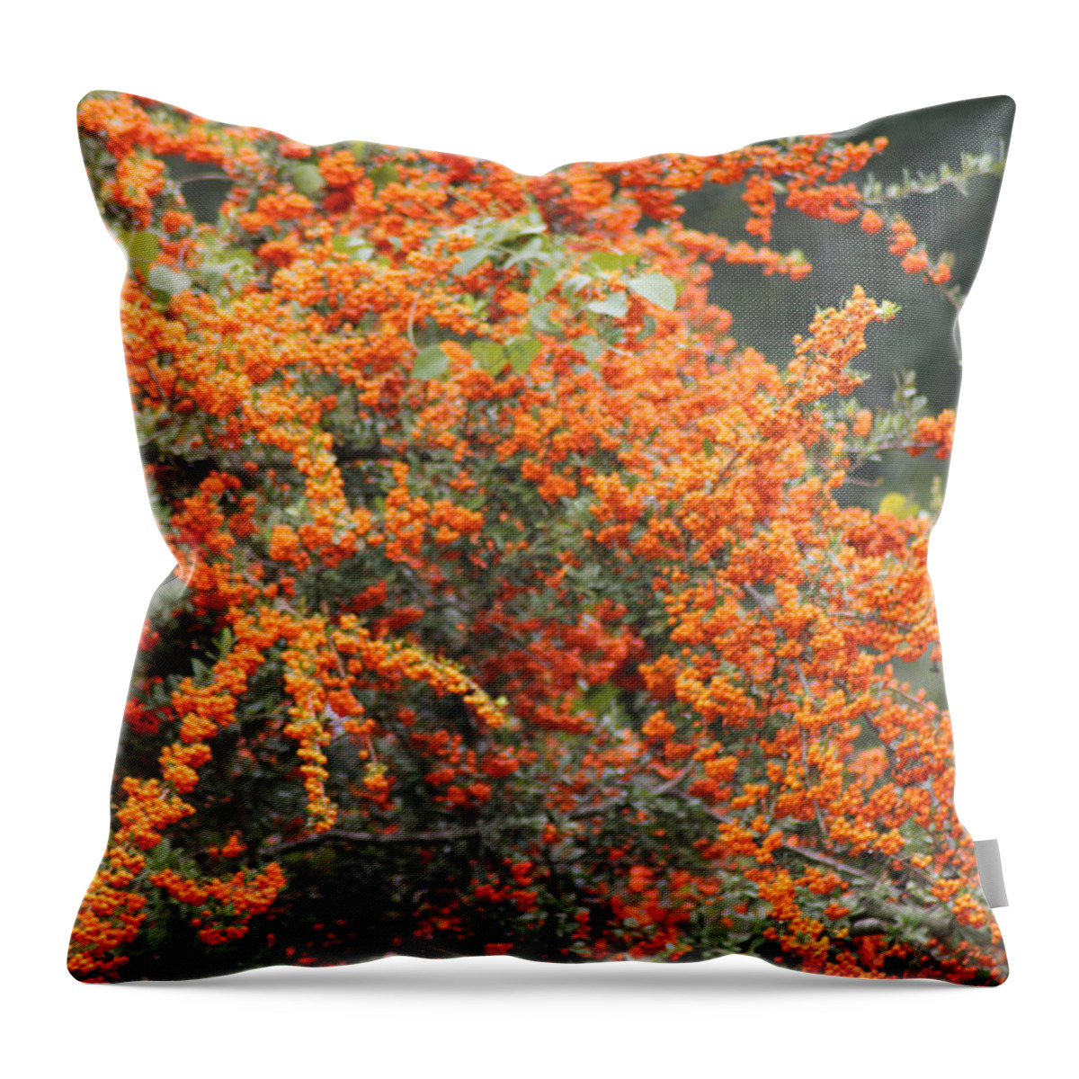 Tree Throw Pillow featuring the photograph Berry Orange by Karen Wagner