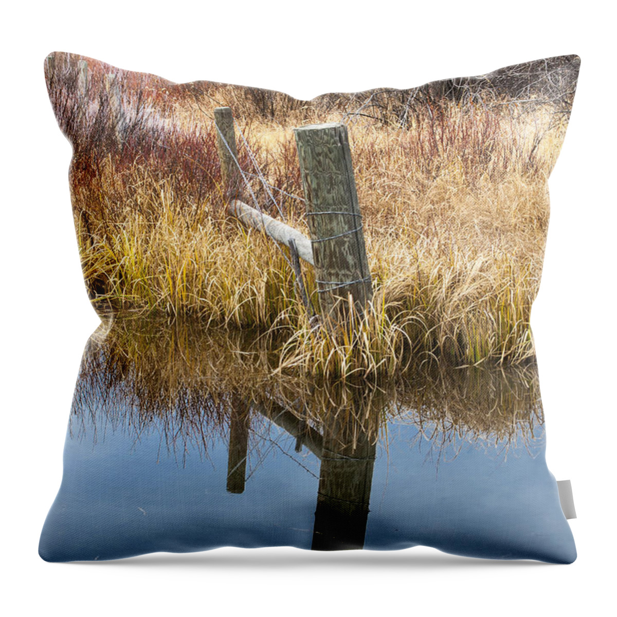 Francis Riley Throw Pillow featuring the photograph Between the Fence Posts by Fran Riley