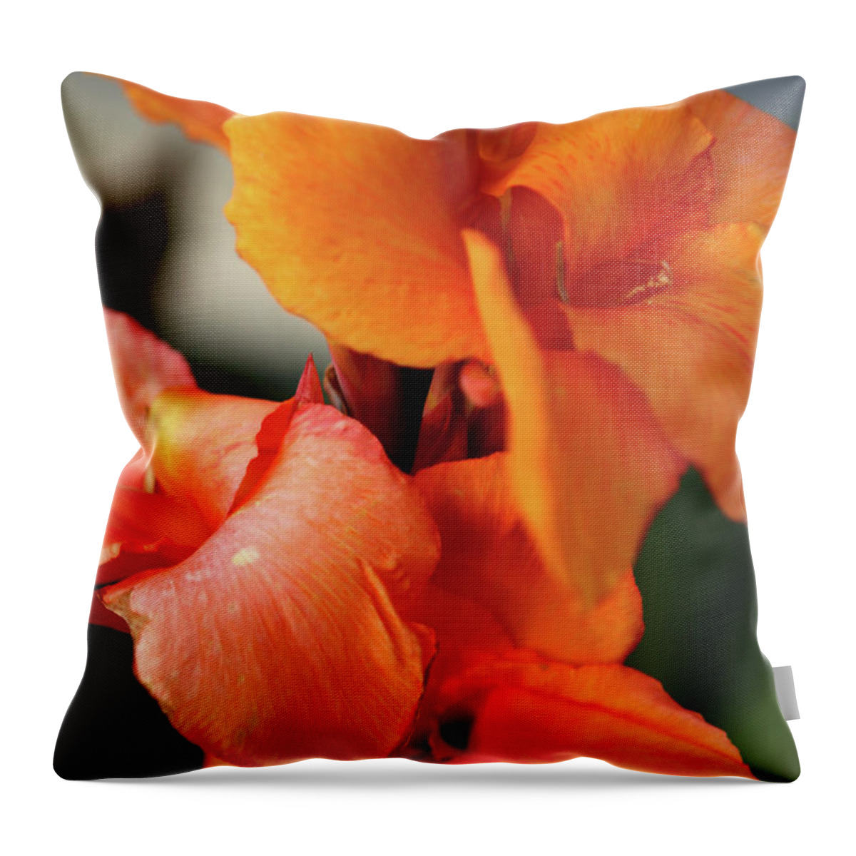 Orange Flower Throw Pillow featuring the photograph Big Orange Flower by Lorraine Devon Wilke
