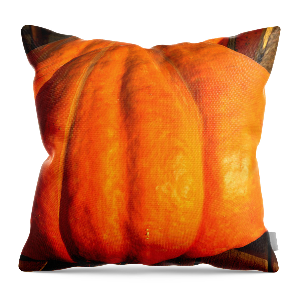 Food And Beverage Throw Pillow featuring the photograph Big Orange Pumpkin by LeeAnn McLaneGoetz McLaneGoetzStudioLLCcom