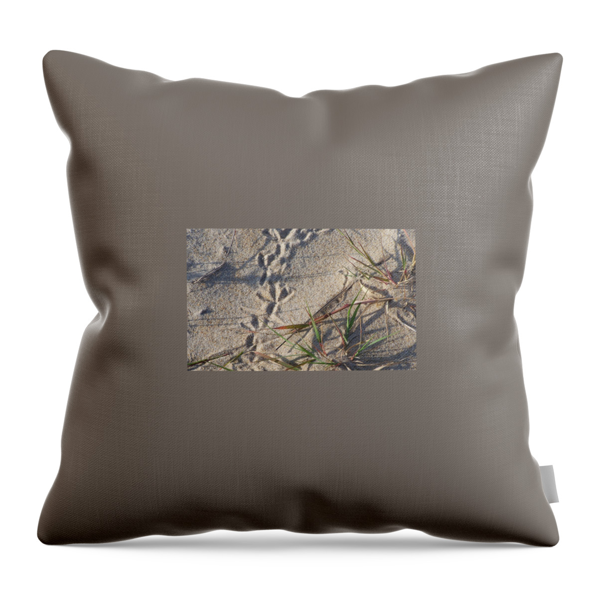 Landscape Photography Throw Pillow featuring the photograph Bird Prints by Kim Galluzzo