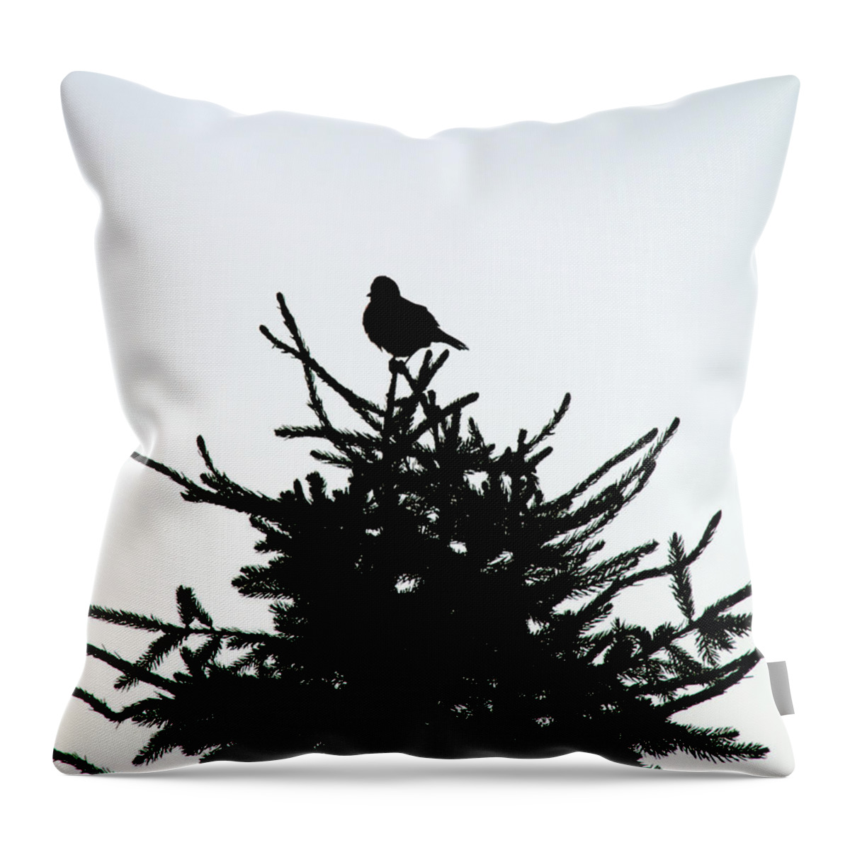 Silhouette Throw Pillow featuring the photograph Bird Silhouette by Mark Dodd