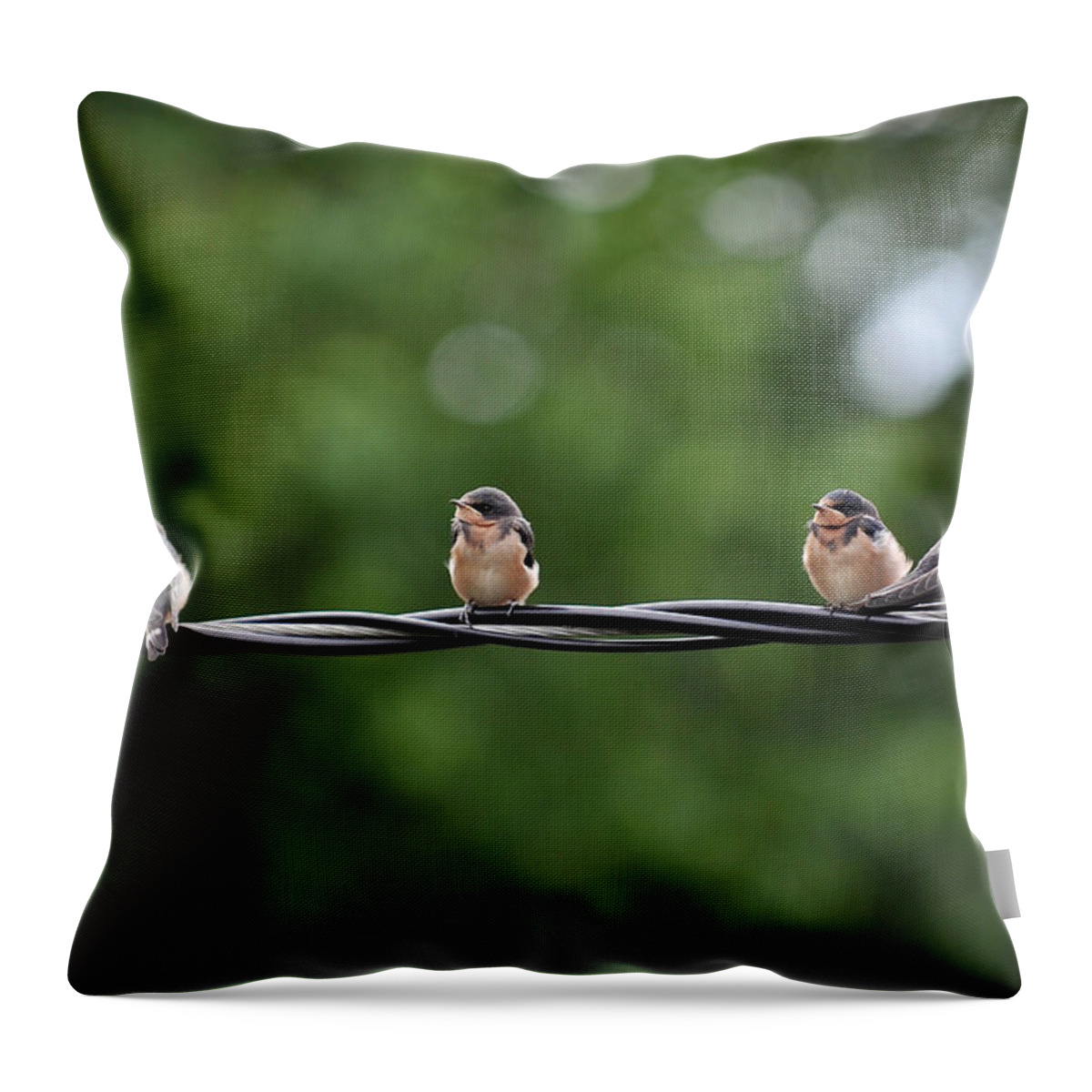 Young Throw Pillow featuring the photograph Birds by Dragan Kudjerski