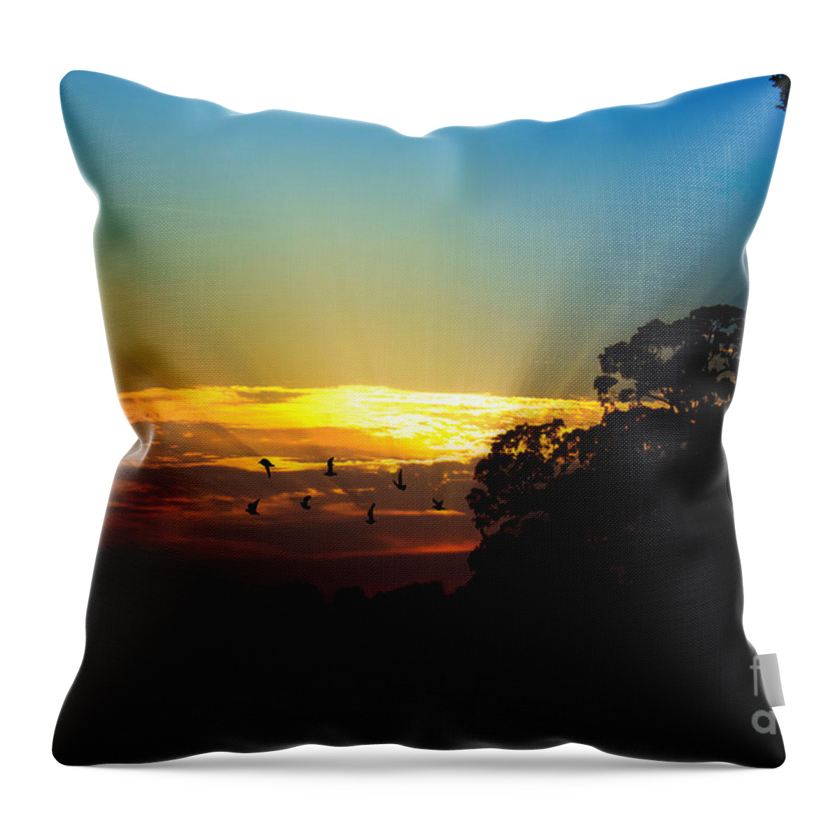 Landscape Throw Pillow featuring the photograph Birds Flying Sunset by Ms Judi