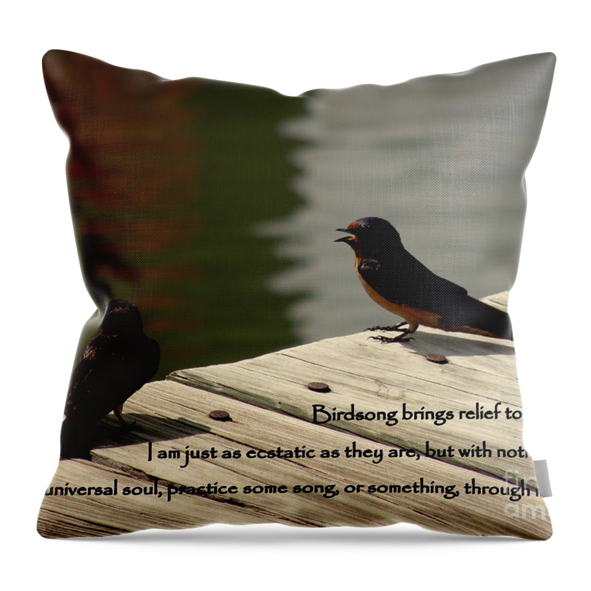 Birds Throw Pillow featuring the photograph Birdsong by Lainie Wrightson