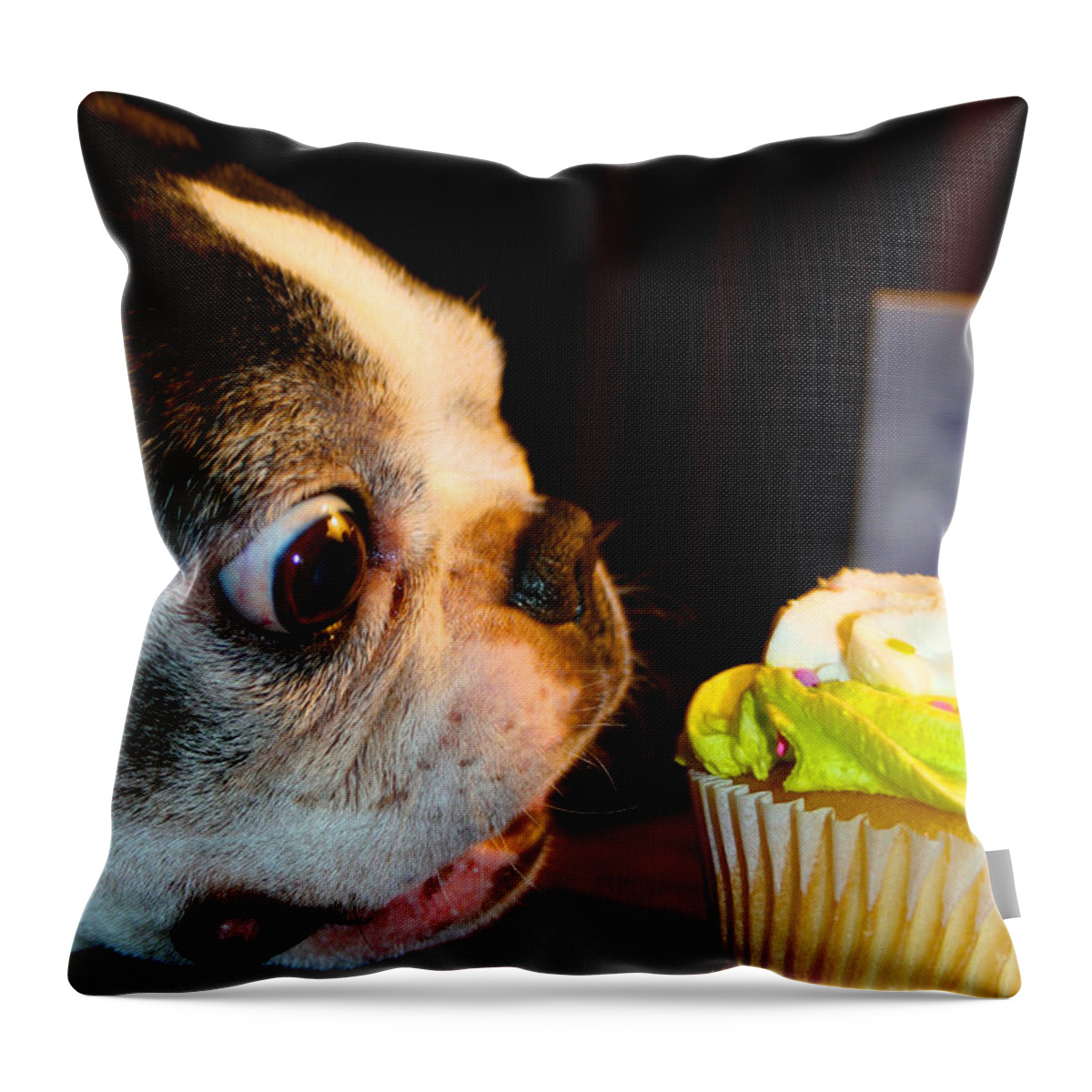 Boston Terrier Throw Pillow featuring the photograph Birthday Binge by Susan Herber