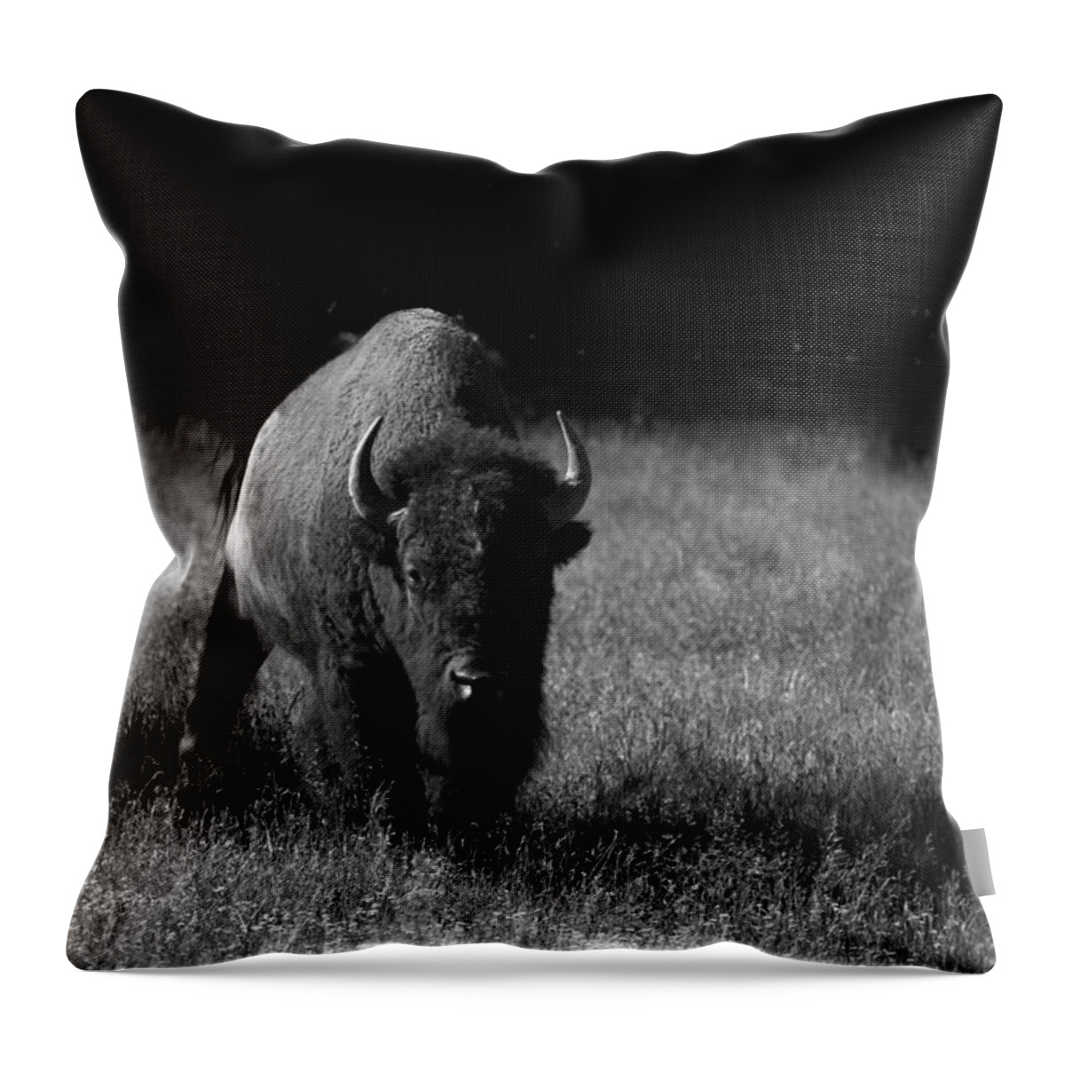 Mammal Throw Pillow featuring the photograph Bison by Ralf Kaiser