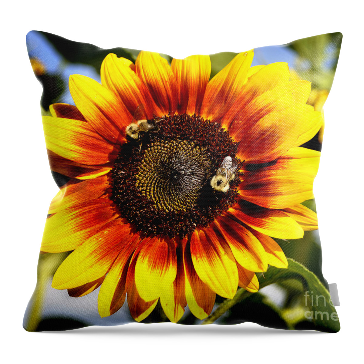 Diane Berry Throw Pillow featuring the photograph Bizzy Bees Sunflower by Diane E Berry