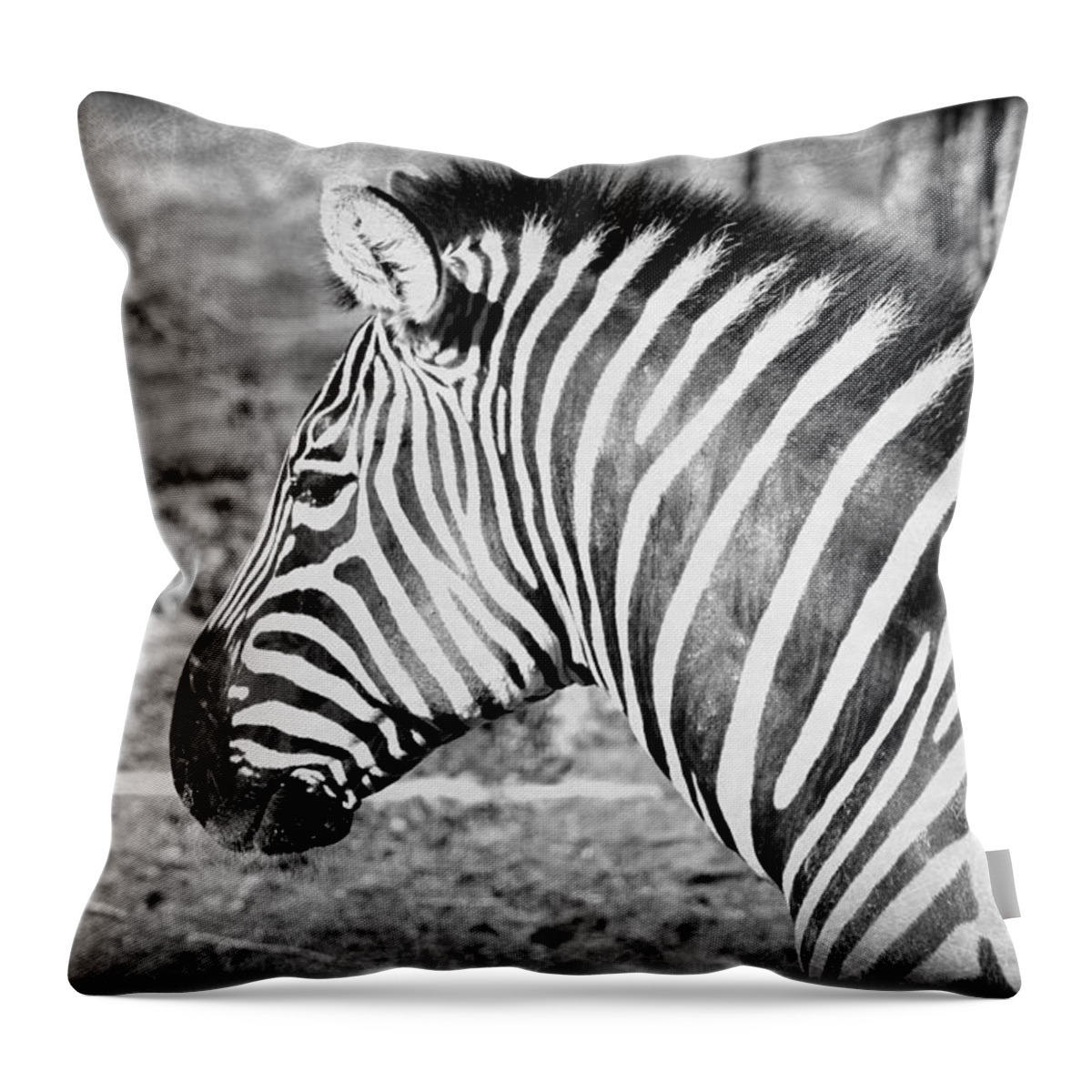 Zebra Throw Pillow featuring the photograph Black and White All Over by Elizabeth Budd