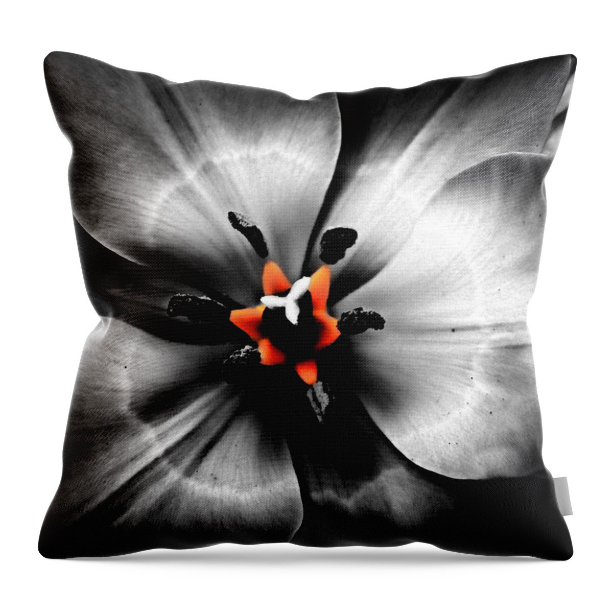 Black And White Throw Pillow featuring the photograph Black and White with a glow of color by Nick Kloepping