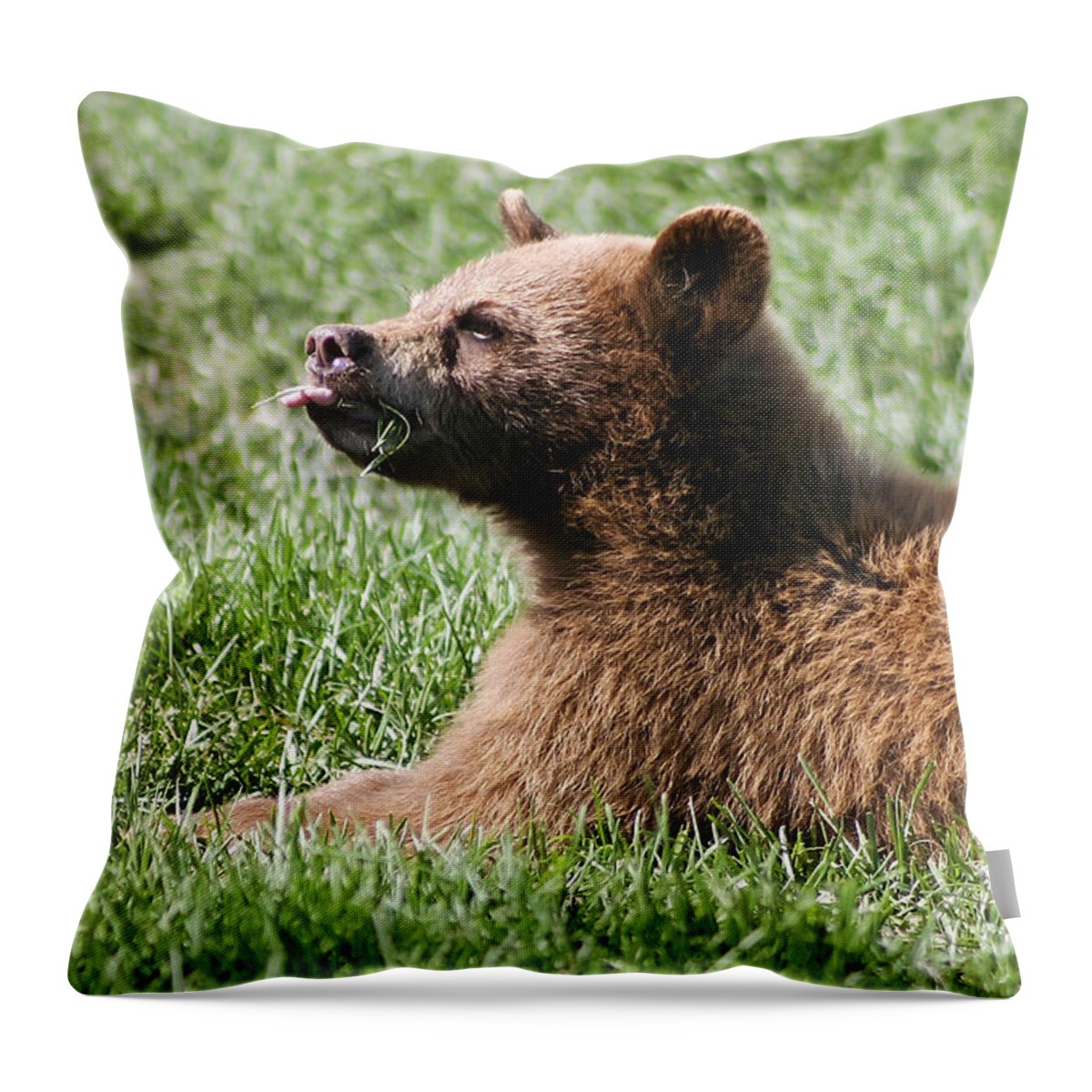 Animal. Wildlife Throw Pillow featuring the photograph Black Bear Cub I by Teresa Zieba