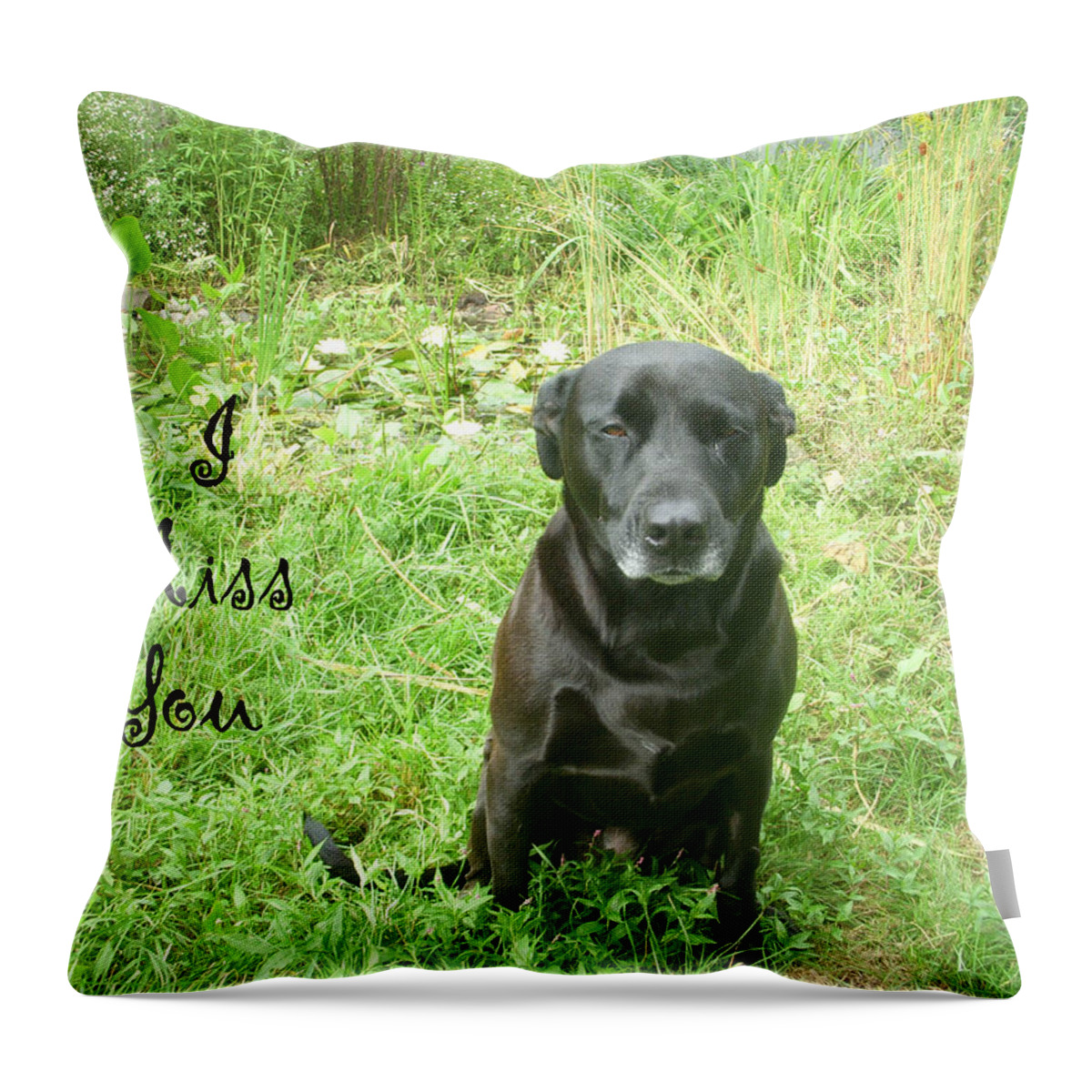 Dog Throw Pillow featuring the photograph Black lab Miss You by Aimee L Maher ALM GALLERY