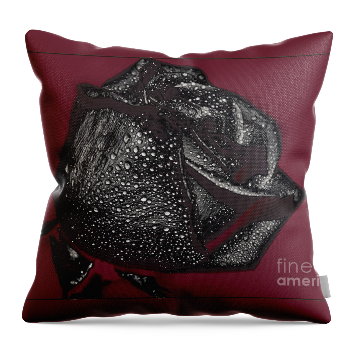 Nature Throw Pillow featuring the photograph Black Rose - Digital Effect by Debbie Portwood