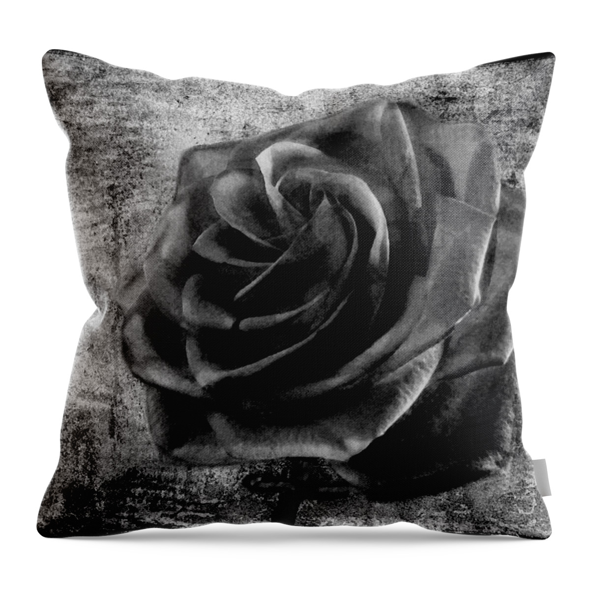 Rose Throw Pillow featuring the photograph Black Rose Eternal BW by David Dehner