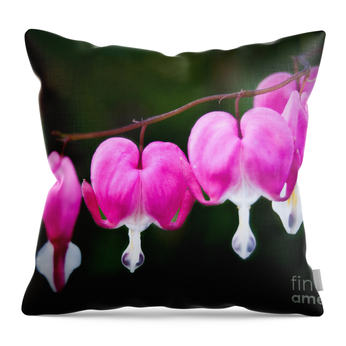 Flower Throw Pillow featuring the photograph Bleeding Hearts 001 by Larry Carr