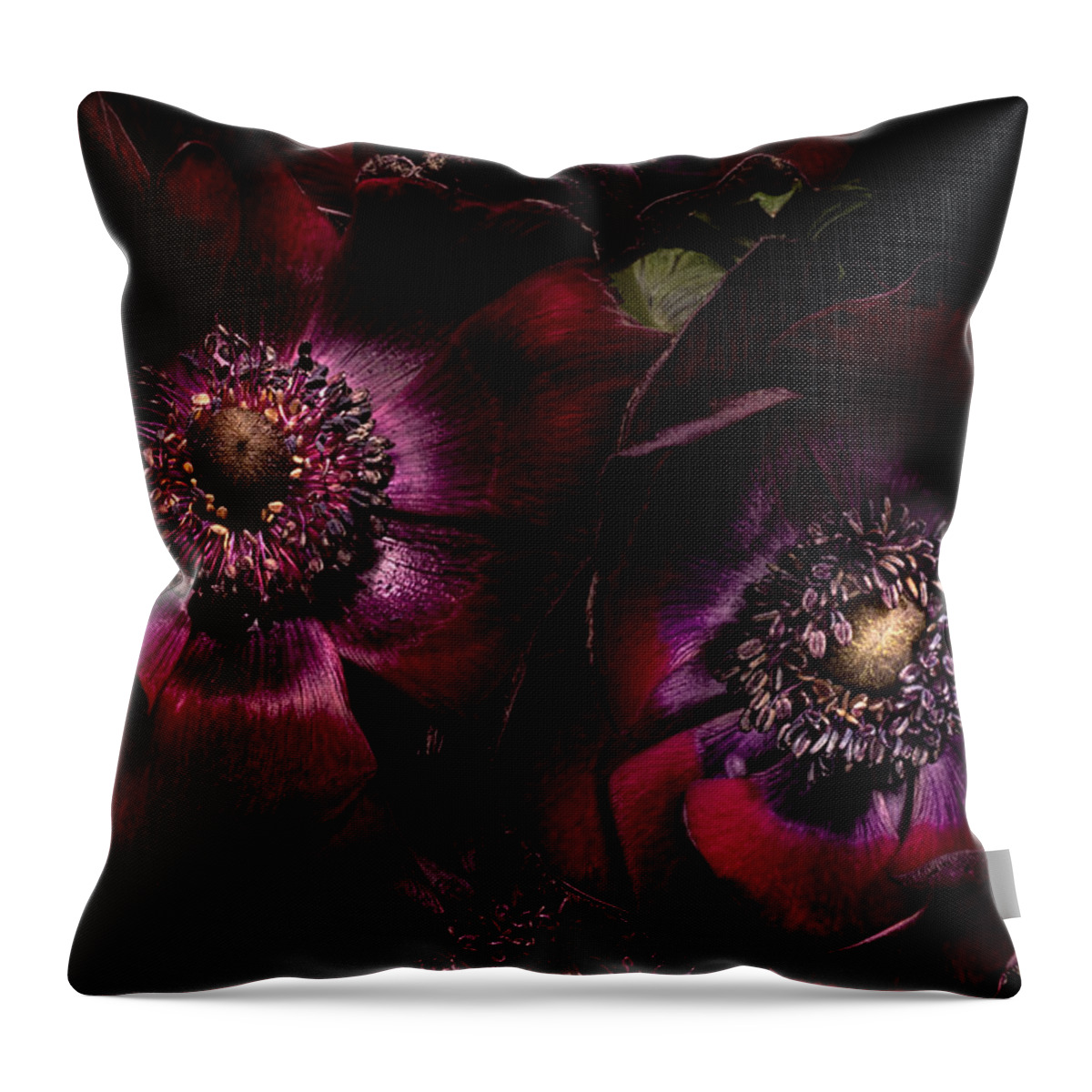 Anemone Throw Pillow featuring the photograph Blood Red Anemones by Ann Garrett