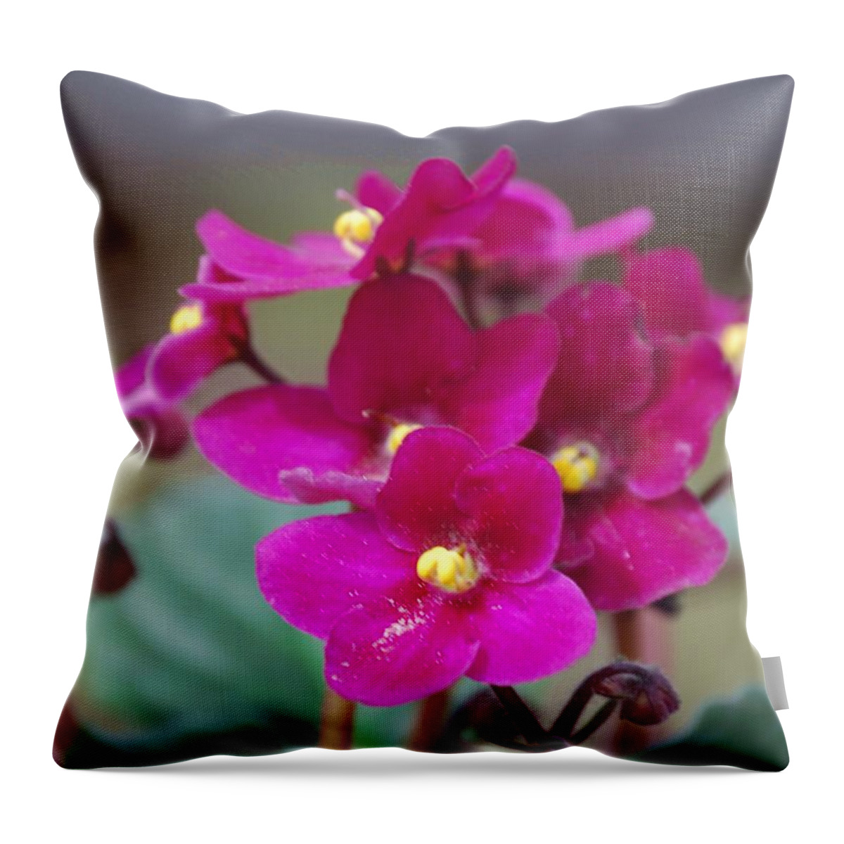 Violets Throw Pillow featuring the photograph Blooming Violets by Judy Hall-Folde