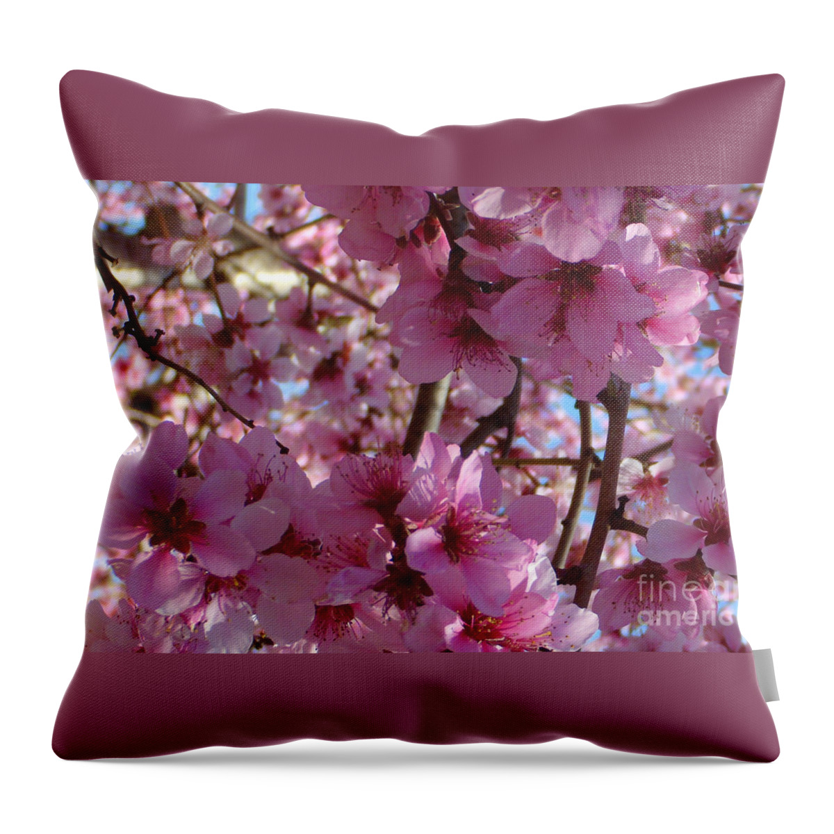 Blossoms Throw Pillow featuring the photograph Blossoms by Lydia Holly