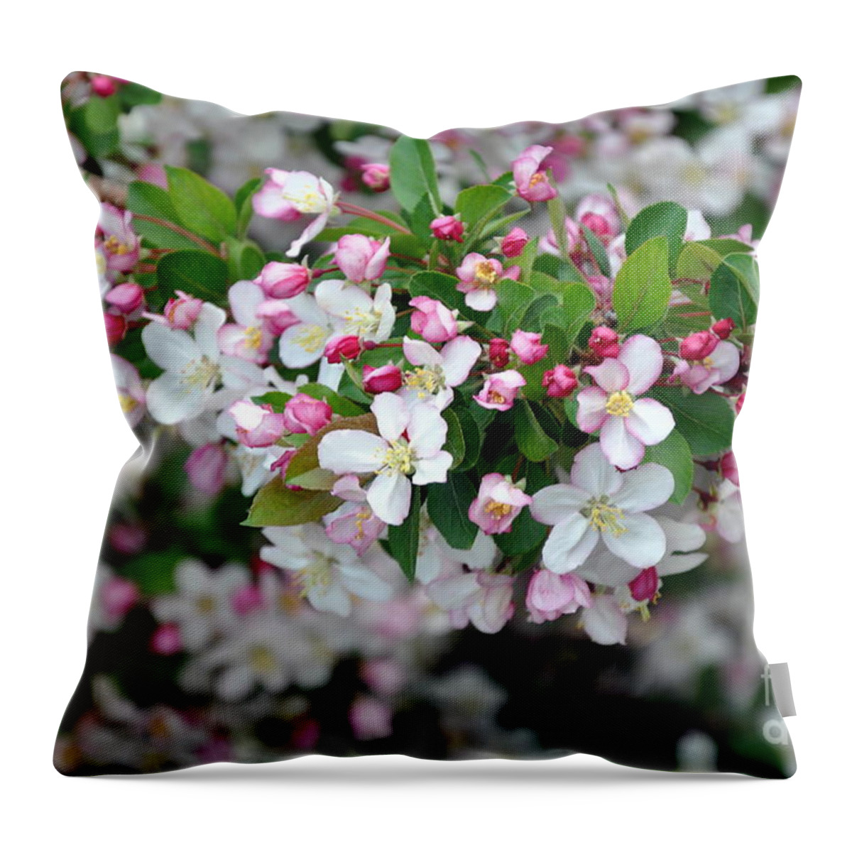 Blossoms Throw Pillow featuring the photograph Blossoms on Blossoms by Dorrene BrownButterfield