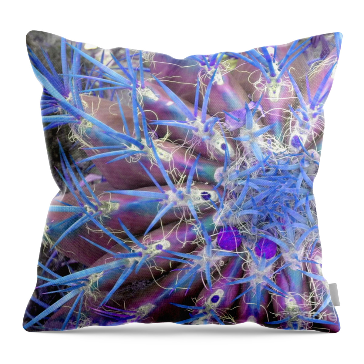 Blue Throw Pillow featuring the photograph Blue Cactus by Rebecca Margraf