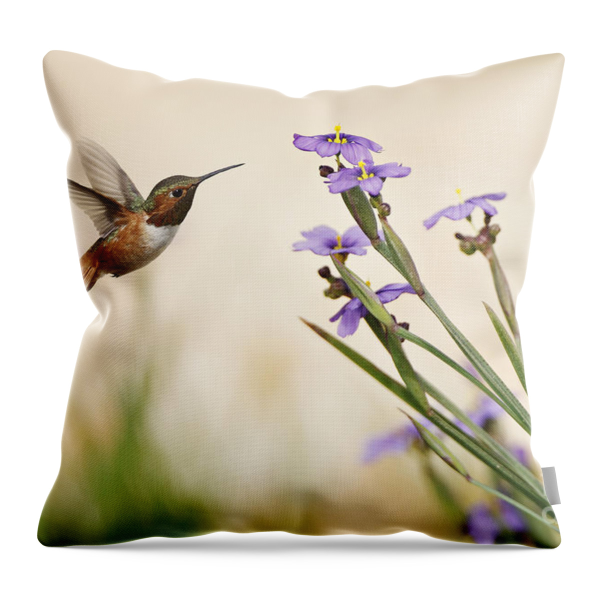 Rufous Hummingbird Throw Pillow featuring the photograph Blue-eyed Grass Wildflowers and Rufous Hummingbird by Susan Gary