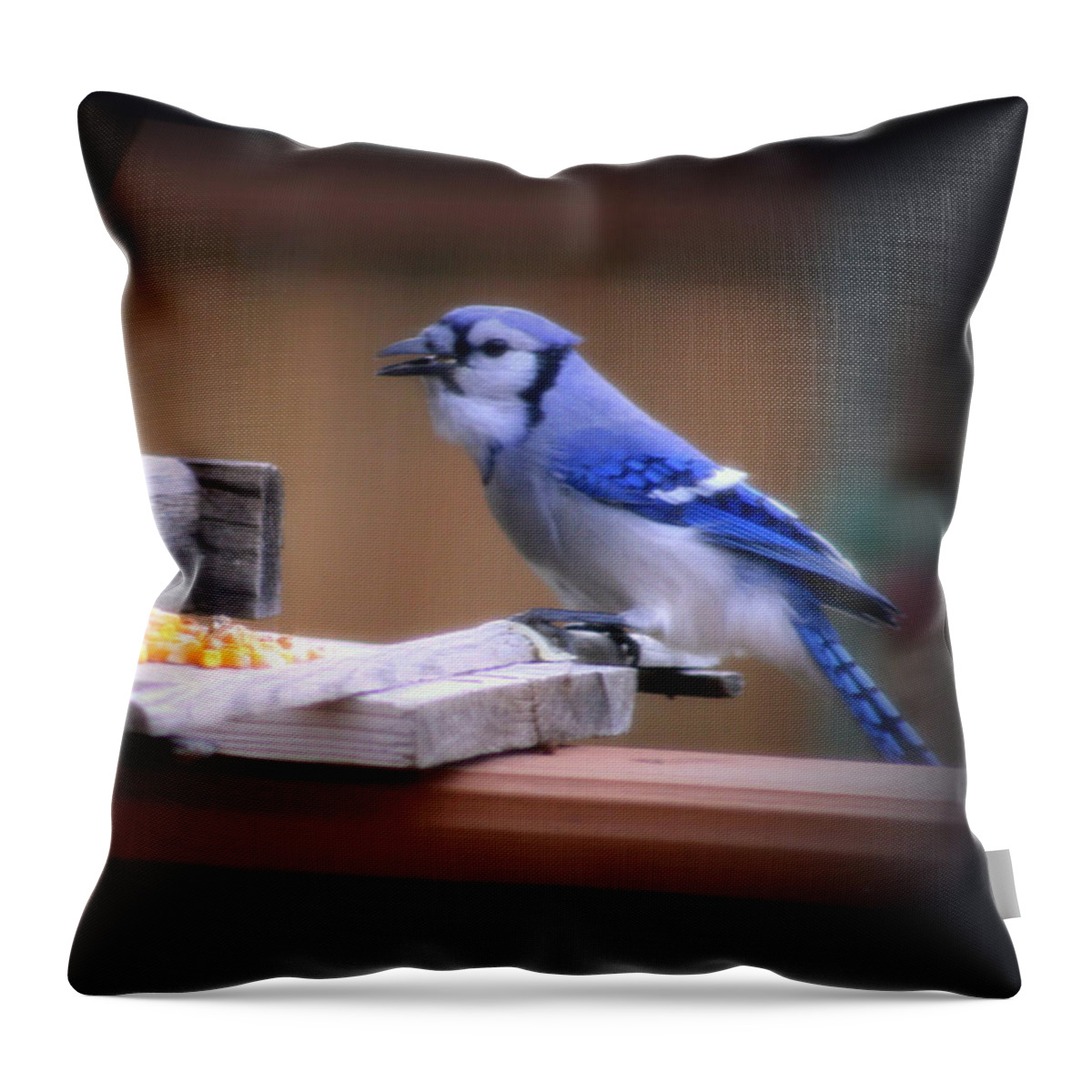 Beautiful Throw Pillow featuring the photograph Blue Jay On Backyard Feeder by Kay Novy