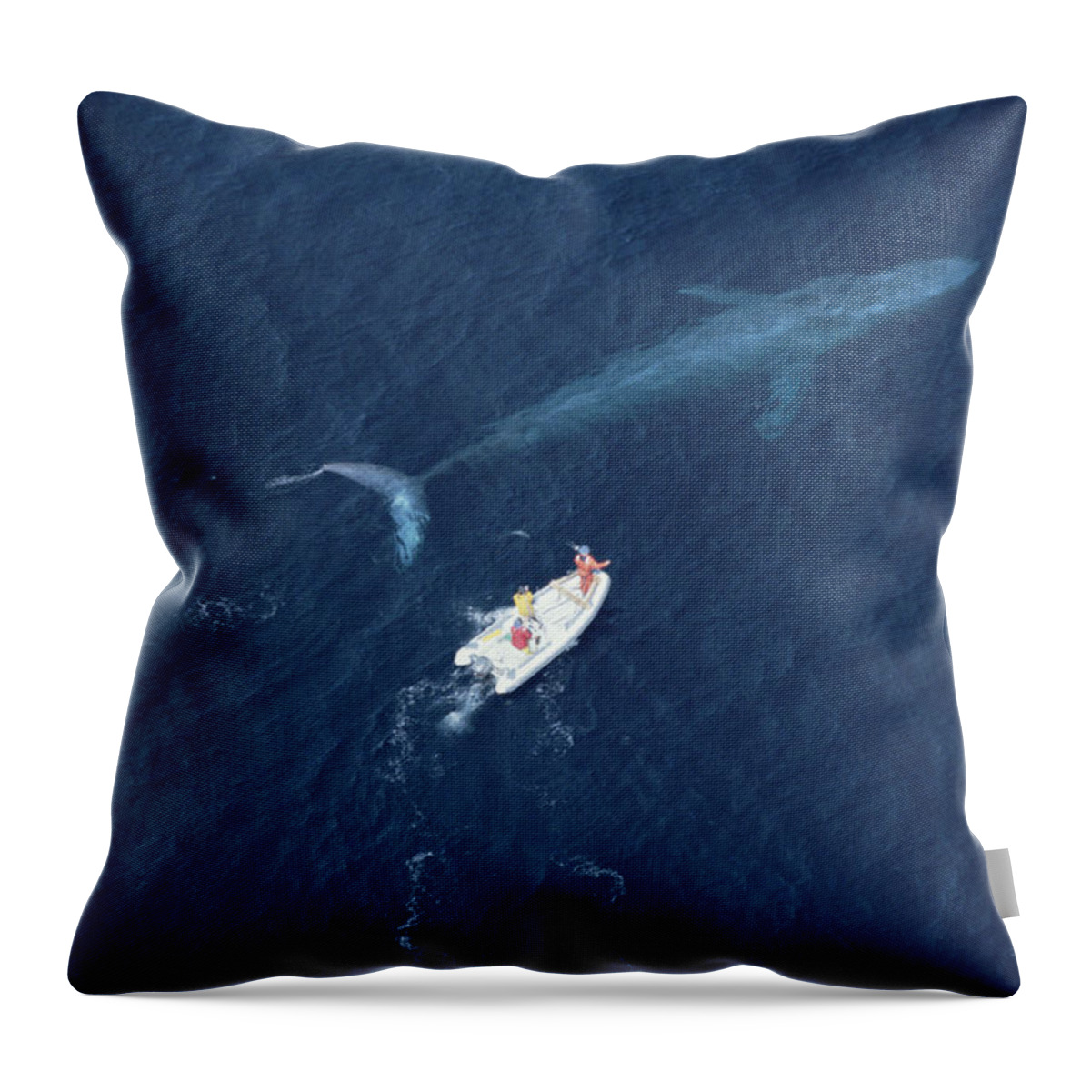 00045067 Throw Pillow featuring the photograph Blue Whale With Research Boat Santa by Flip Nicklin