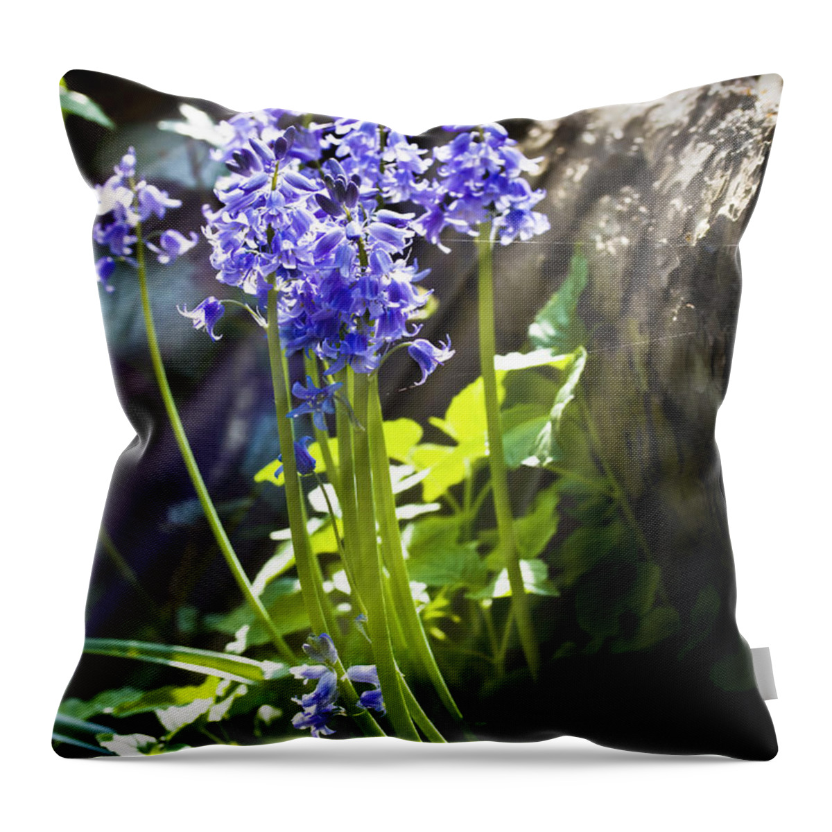 Wild Flowers Throw Pillow featuring the photograph Bluebells in the woods by Simon Bratt