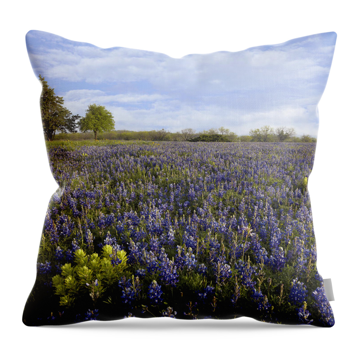 00442669 Throw Pillow featuring the photograph Bluebonnet And Lemon Paintbrush by Tim Fitzharris