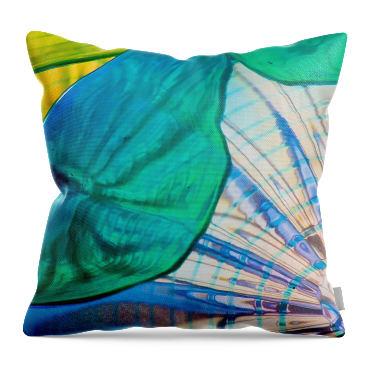 Glass Throw Pillow featuring the photograph Blues and Greens by Roger Mullenhour