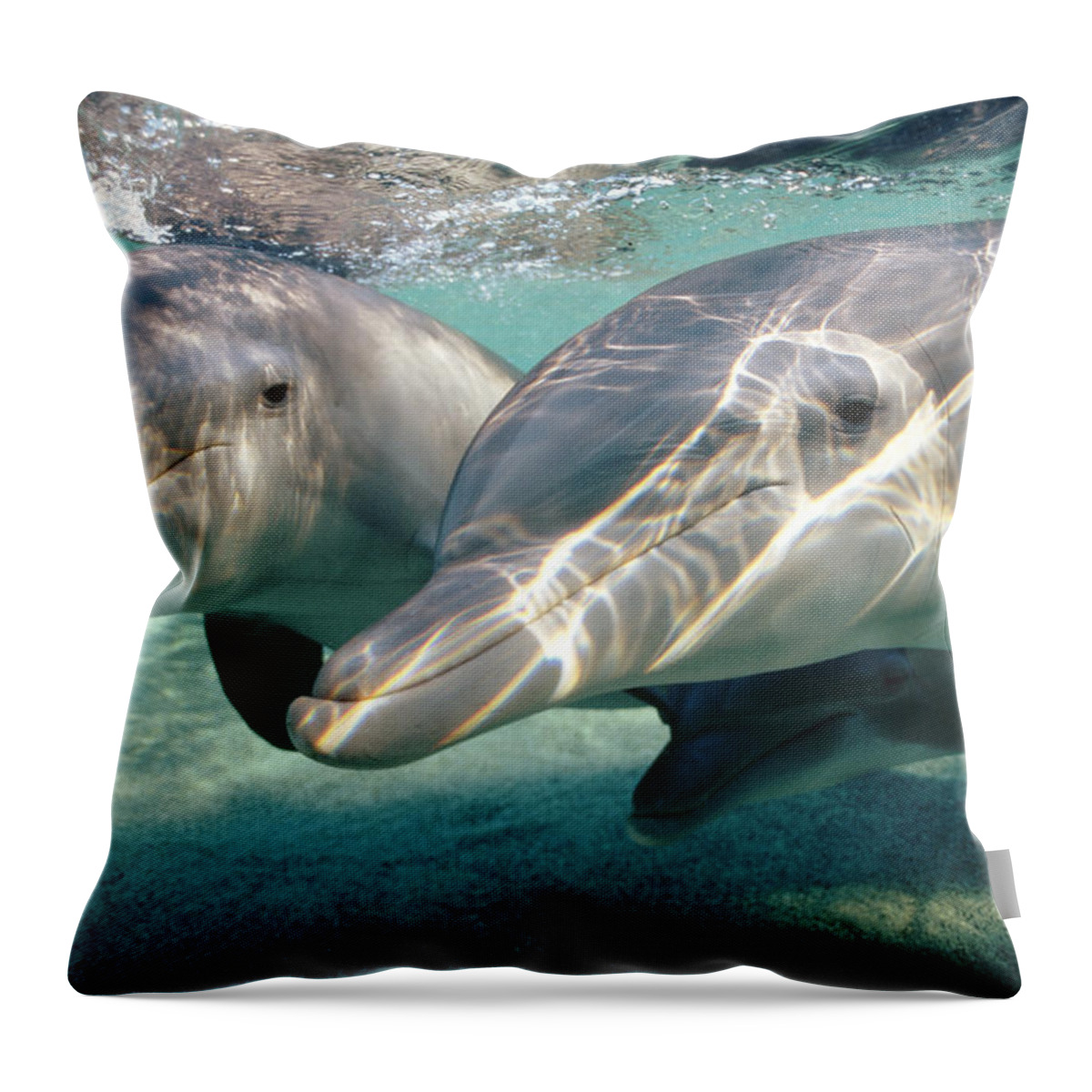 00087645 Throw Pillow featuring the photograph Bottlenose Dolphin Underwater Pair by Flip Nicklin