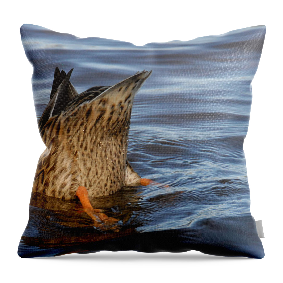 Nature Throw Pillow featuring the photograph Bottom's Up by Cindy Manero