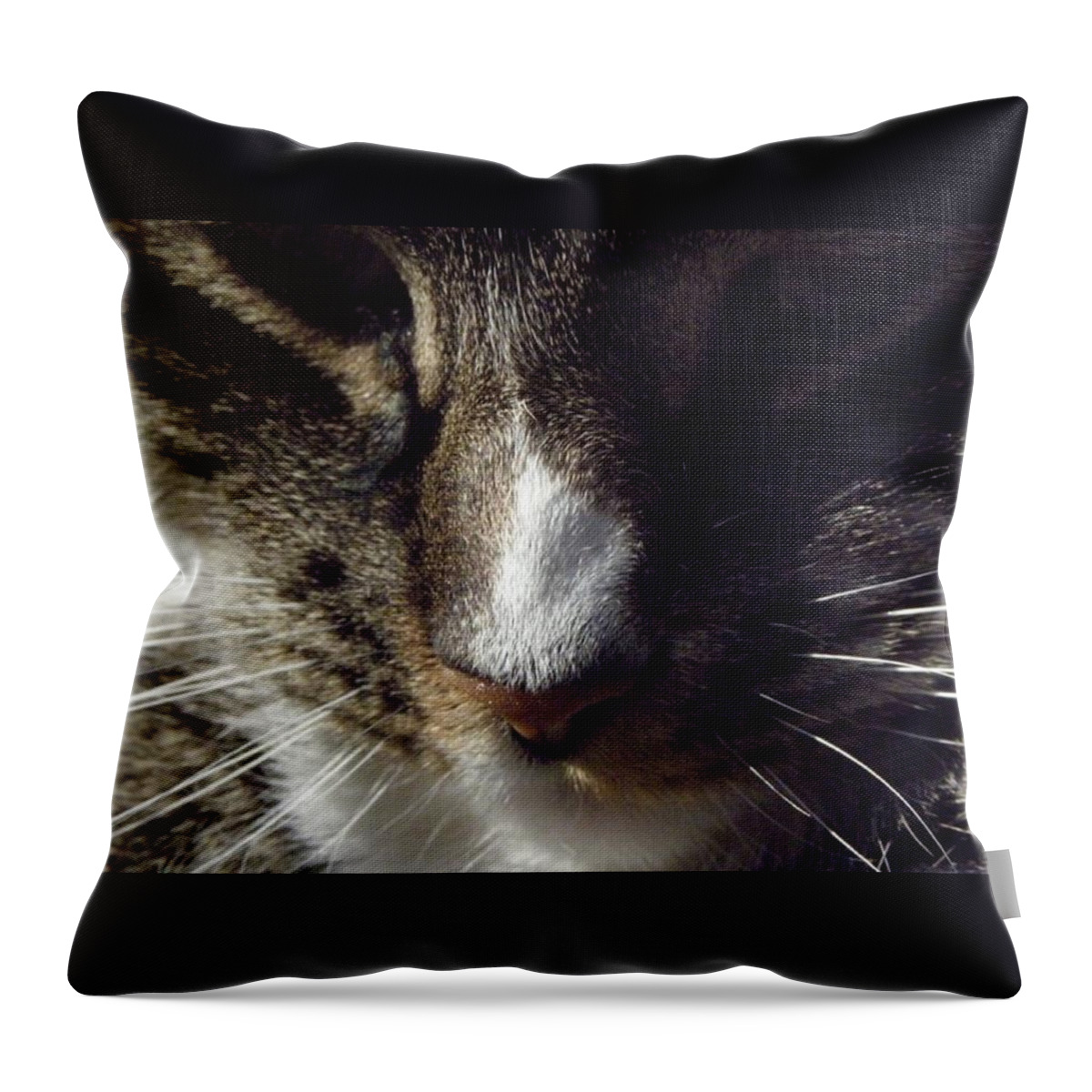 Bow Throw Pillow featuring the photograph Bow Down by Kim Galluzzo