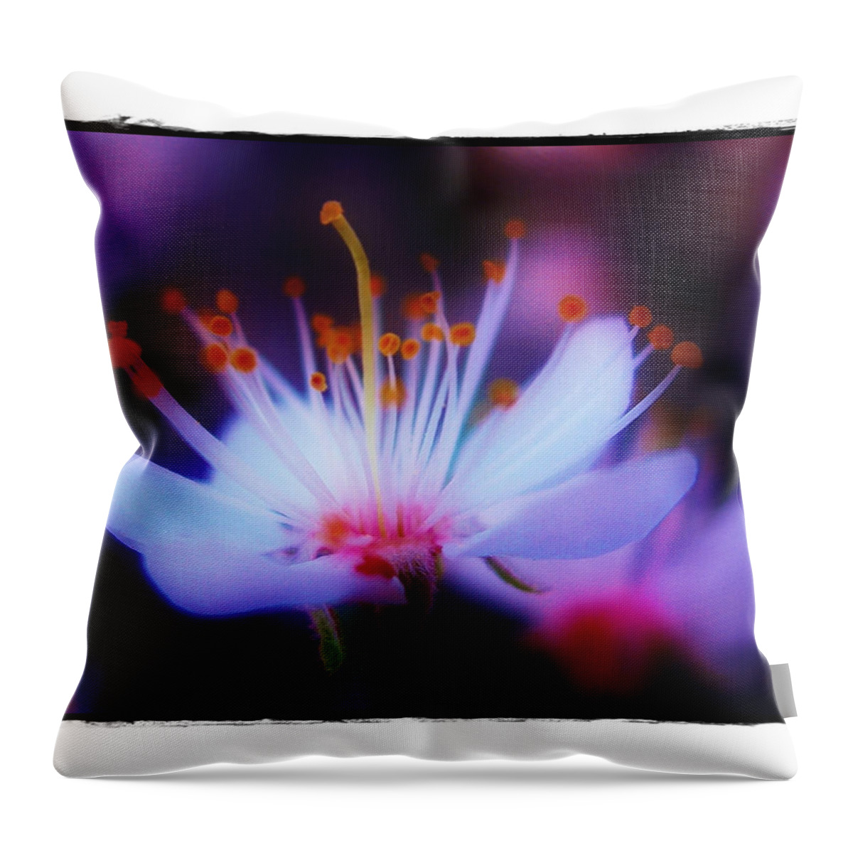 Dreamy Throw Pillow featuring the photograph Bradford Ballet by Judi Bagwell
