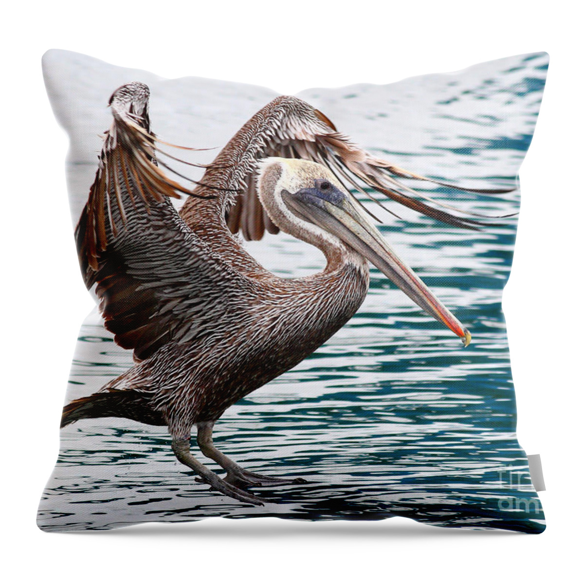 Animal Throw Pillow featuring the photograph Brown Pelican . 7D8253 by Wingsdomain Art and Photography