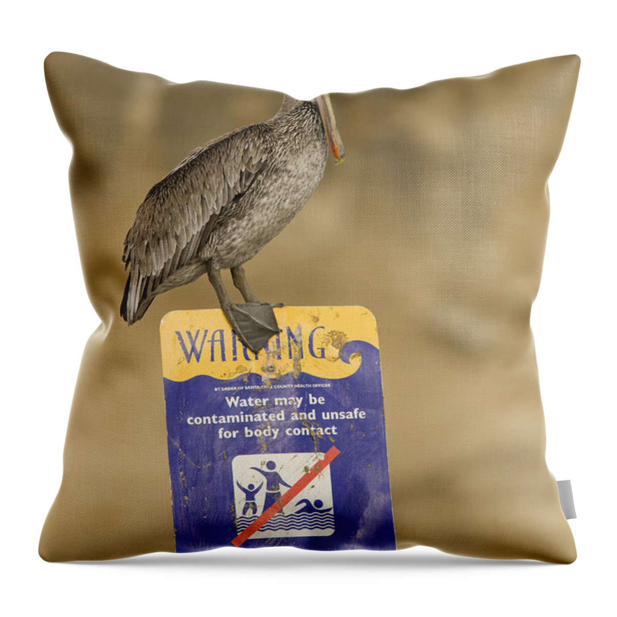00429766 Throw Pillow featuring the photograph Brown Pelican On Contaminated Water by Sebastian Kennerknecht