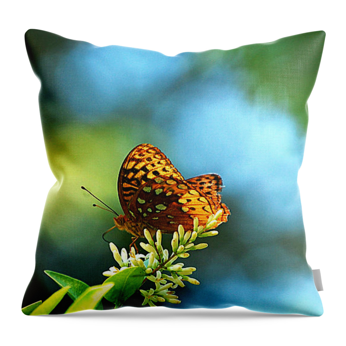 Landscape Throw Pillow featuring the photograph Brown Spotted Butterfly by Peggy Franz