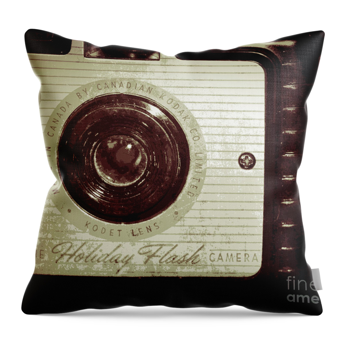 Camera Throw Pillow featuring the photograph Brownie by Traci Cottingham