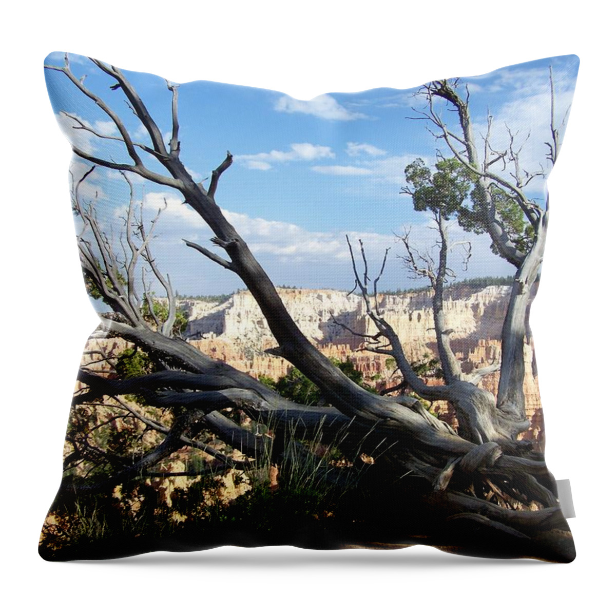 Bryce Canyon Throw Pillow featuring the photograph Bryce Canyon by Dany Lison