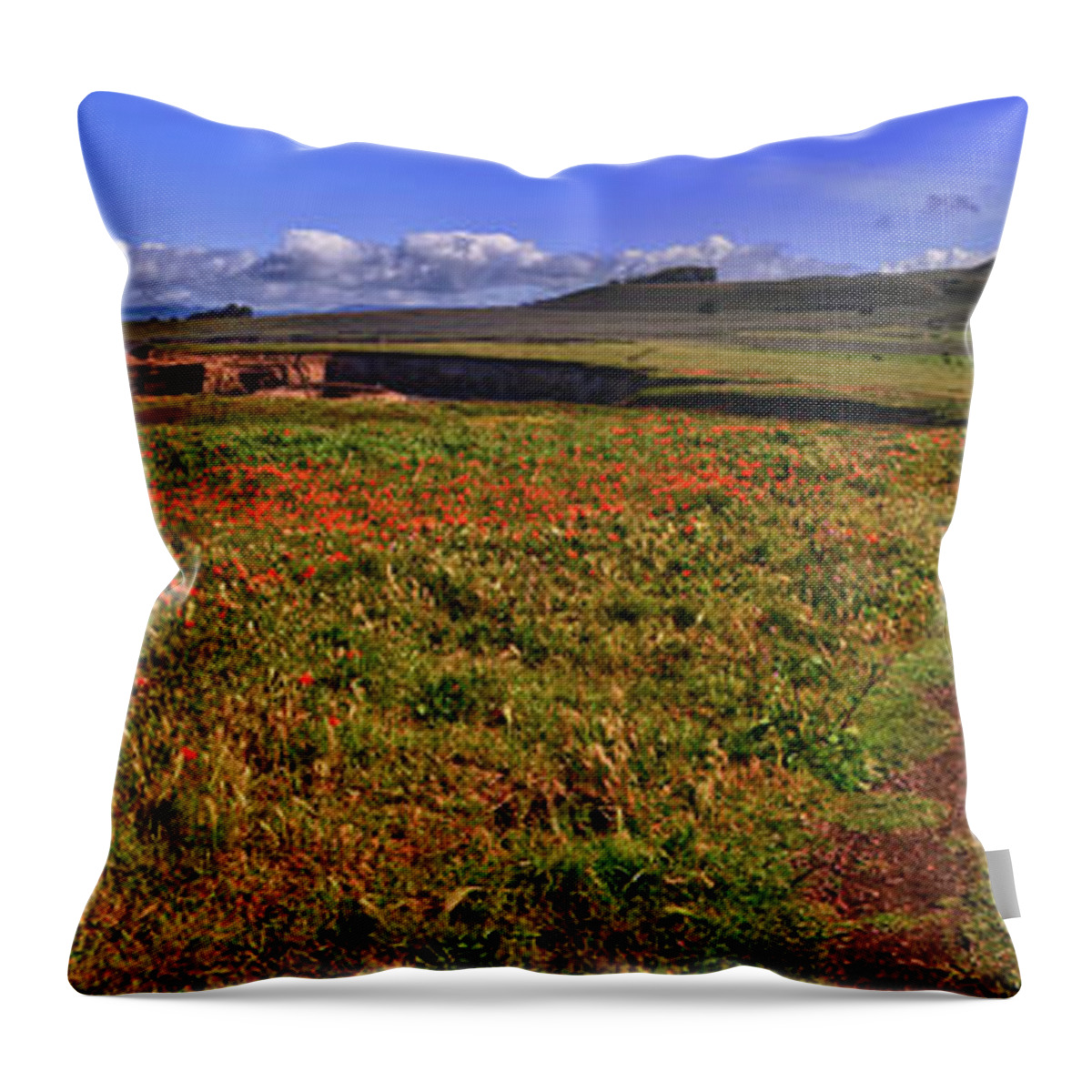 Buchon Throw Pillow featuring the photograph Buchon Trail by Beth Sargent