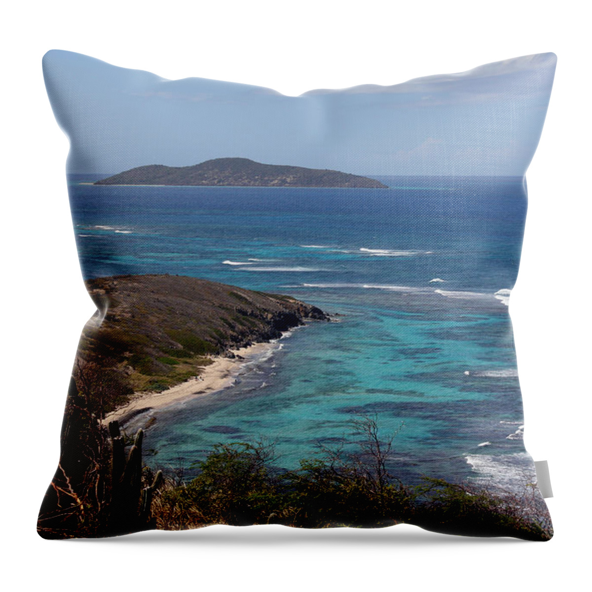 Virgin Islands Throw Pillow featuring the photograph Buck Island USVI by Kelly Holm
