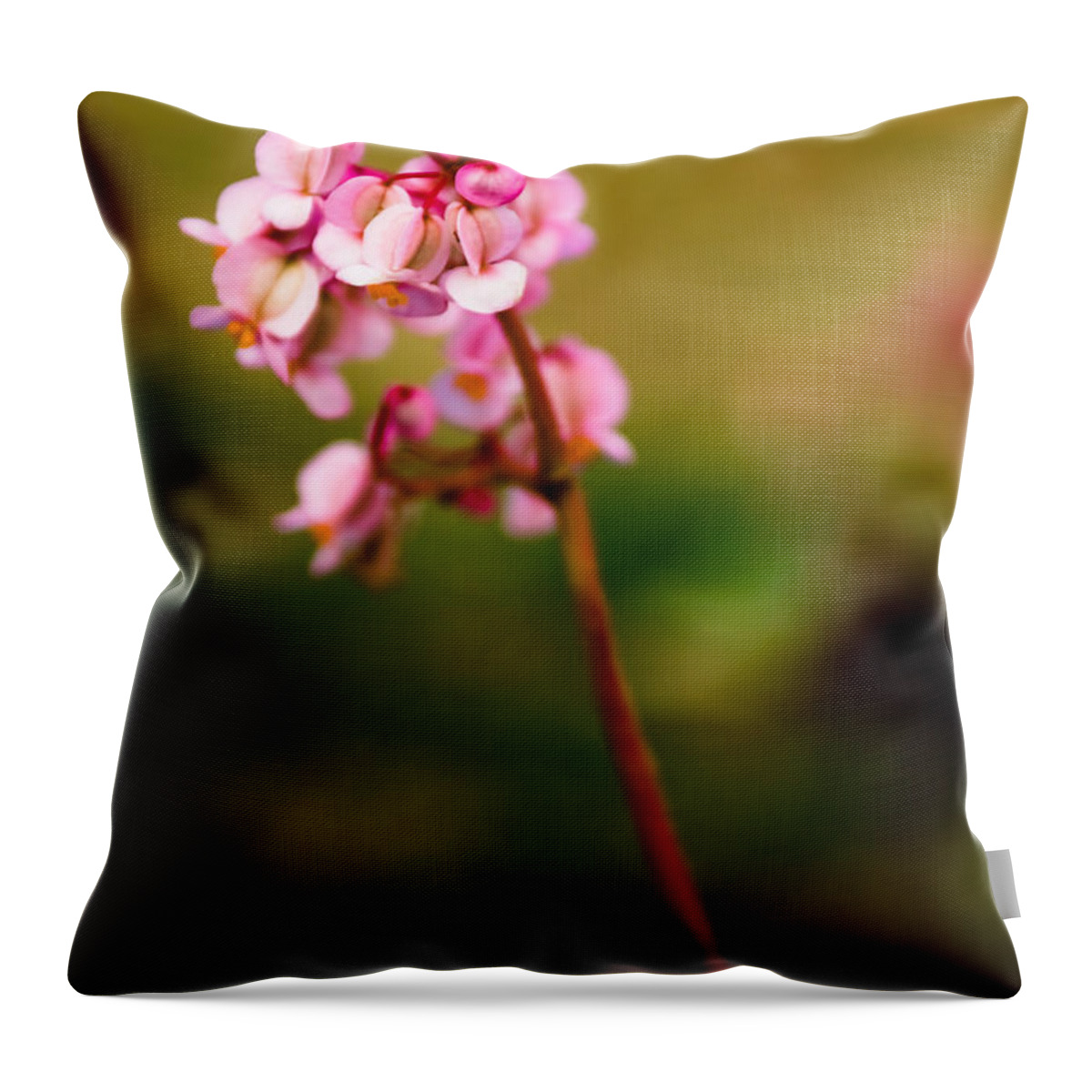 Flower Throw Pillow featuring the photograph Bug And Bud Love by Syed Aqueel